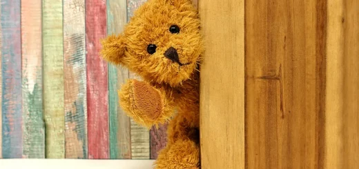 Warm Beddengoed van Teddy stof
